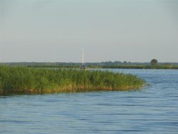 elise28